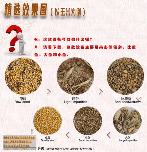 5XFZ-20復式精選機 沁彤進出口貿易助力谷物精選加工升級